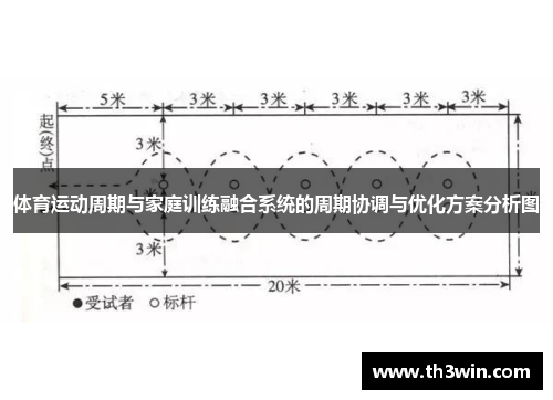 体育运动周期与家庭训练融合系统的周期协调与优化方案分析图 体育运动周期与家庭训练融合系统的周期协调与优化方案分析图
